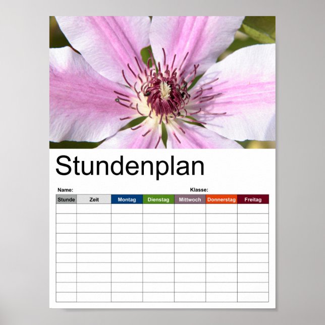 Macro of white and purple Clematis Poster (Front)