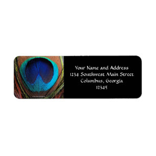 Macro Peacock Feather Rich Blues Photographic Label
