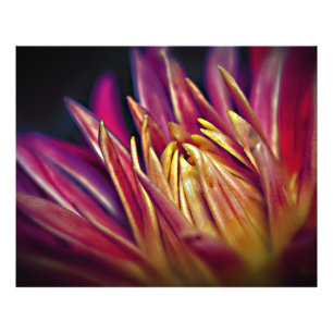 Macro photo flower print