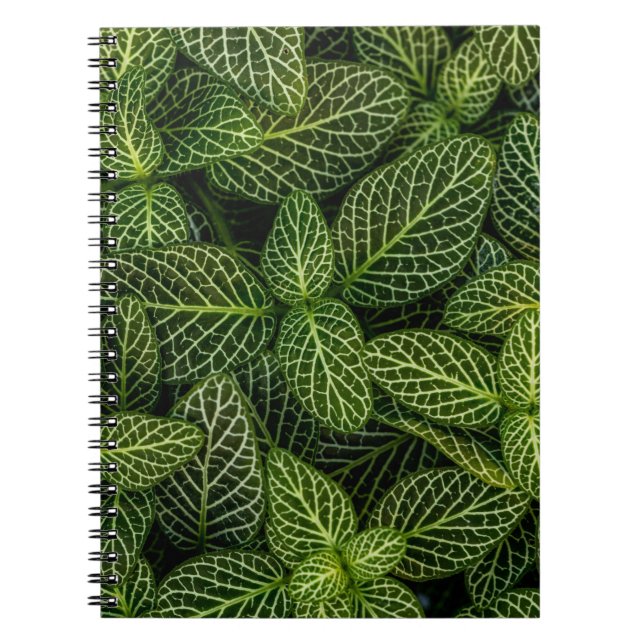 Macro photo of green-leafed plants notebook (Front)