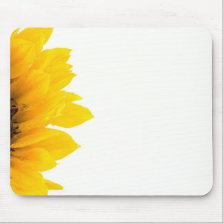 Macro Photo Of Sunflower On White Background Mouse Pad