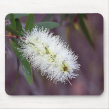 Macro photo plant on a mousepad