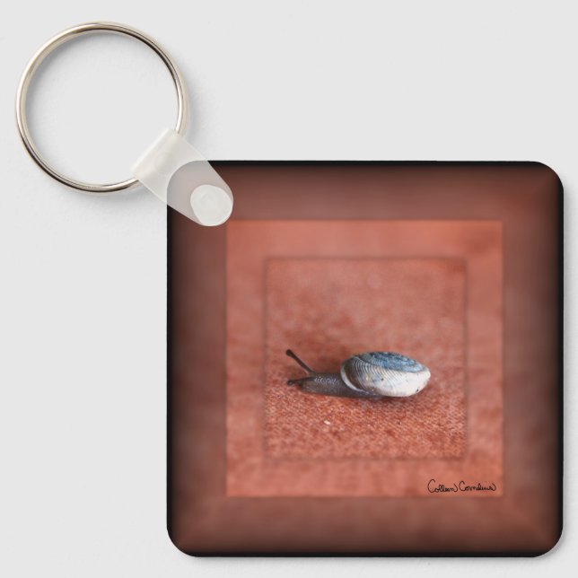 Macro Photograph of Snail on Terracotta  Keychain (Front)