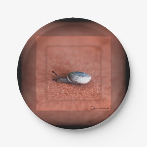 Macro Photograph of Snail on Terracotta Paper Plates