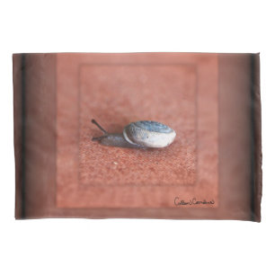 Macro Photograph of Snail on Terracotta Pillow Case