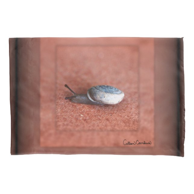 Macro Photograph of Snail on Terracotta Pillow Case (Front)