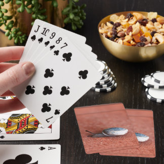Macro Photograph of Snail on Terracotta Poker Cards