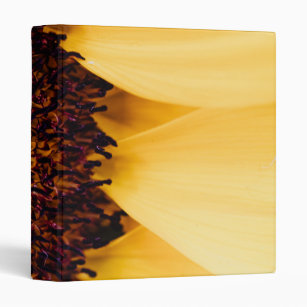 Macro Photography of a Sunflower 3 Ring Binder