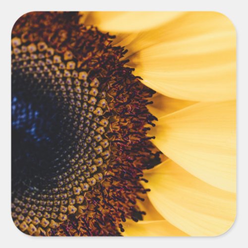 Macro Photography of a Sunflower Square Sticker