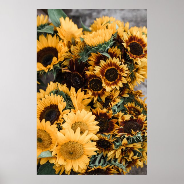 MACRO PHOTOGRAPHY OF YELLOW SUNFLOWERS POSTER (Front)