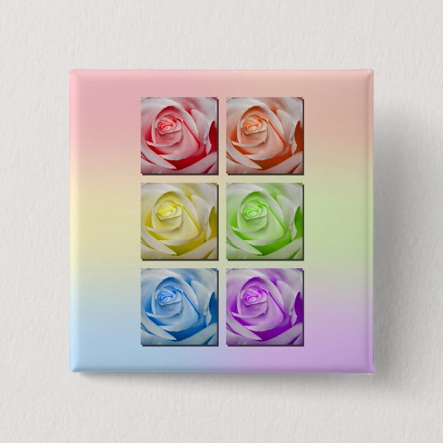 Macro Rainbow Roses Pinback Button (Front)