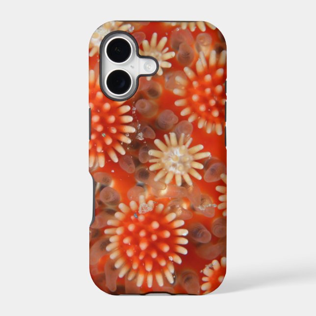 Macro Sea Star Iphone Case (Back)