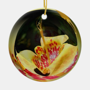 Macro Spotted Yellow Lily Flower Art Ornament