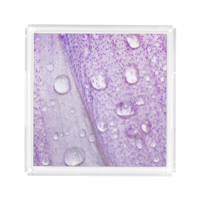Macro Spring Violet Flower Design Acrylic Tray (Front)