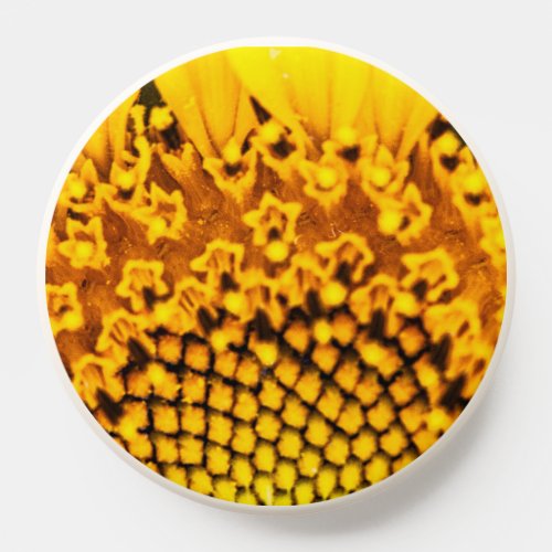 Macro Sunflower PopSocket