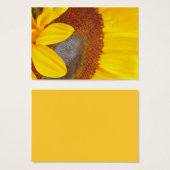 Macro Sunflower Profile Card (Front & Back)