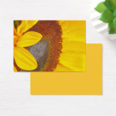 Macro Sunflower Profile Card (Desk)