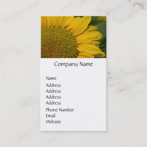 Macro Sunflower With Raindrops Business Cards