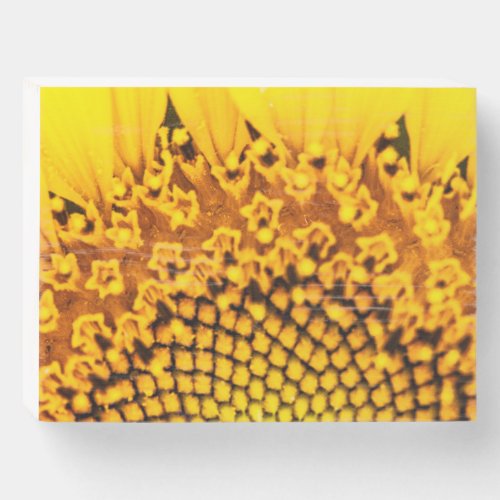 Macro Sunflower Wood Art Wooden Box Sign