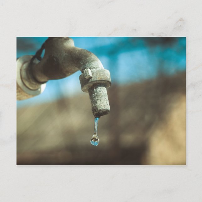 Macro water drop postcard (Front)