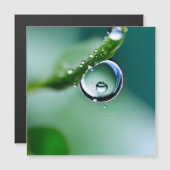 Macro water drops (Front/Back)