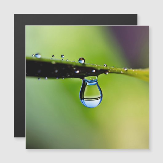 Macro water drops (Front/Back)