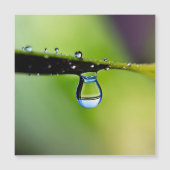 Macro water drops (Front)