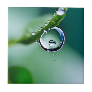 Macro water drops ceramic tile