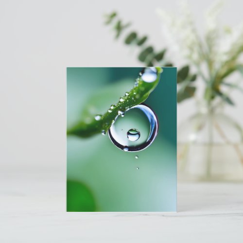 Macro water drops postcard