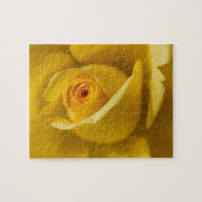 Macro Yellow Rose Jigsaw Puzzle (Horizontal)