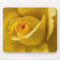 Macro Yellow Rose
