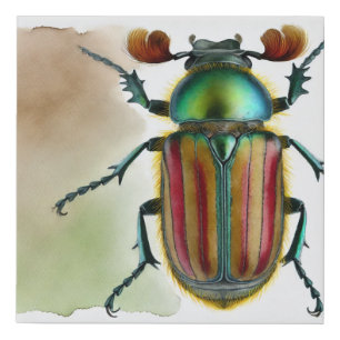 Macrochenus beetle 200924IREF202 - Watercolor Faux Canvas Print