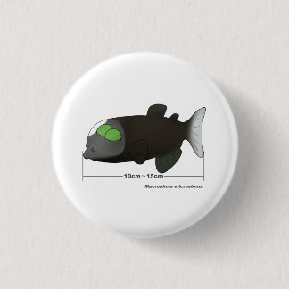 Macropinna microstoma actual size button