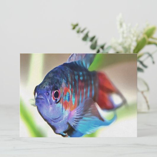 Macropodus Opercularis Aquarium Fish (Standing Front)