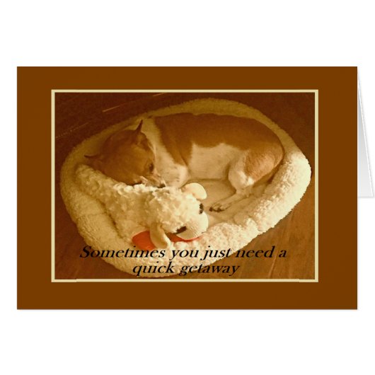 "Macy with Lamb Chop" 5 x 7 Card w/Envelope (Front Horizontal)