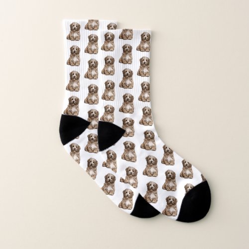 Mad about Havanese Socks