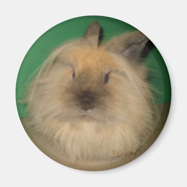 Mad Bunny Magnet (Front)