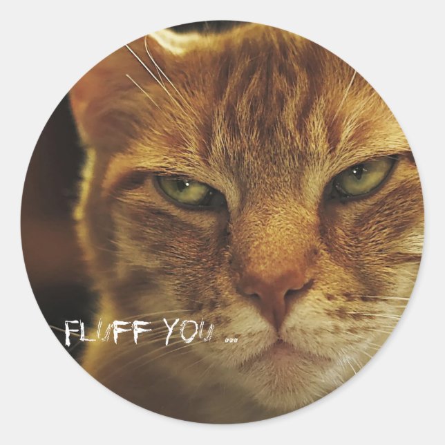 Mad Cat Fluff You Classic Round Sticker (Front)
