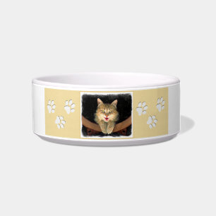 Mad Cat Painting - Cute Original Cat Art Bowl