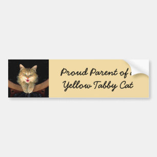 Mad Cat Painting - Cute Original Cat Art Bumper Sticker