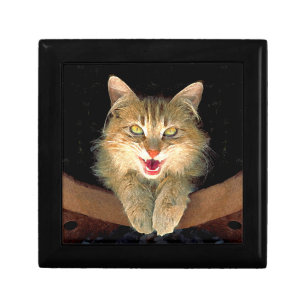 Mad Cat Painting - Cute Original Cat Art Gift Box