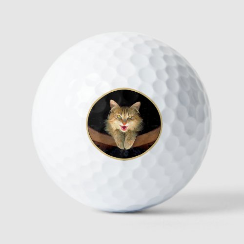 Mad Cat Painting _ Cute Original Cat Art Golf Balls