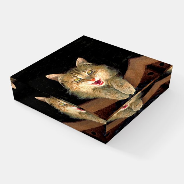 Mad Cat Painting - Cute Original Cat Art Paperweight (Angled)