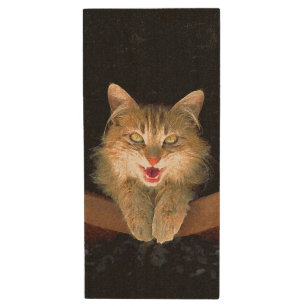 Mad Cat Painting - Cute Original Cat Art Wood USB Flash Drive