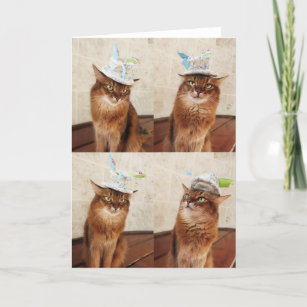 Mad Catter Funny Somali Cat Card