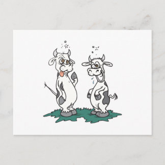mad crazy cows postcard