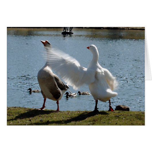 Mad Goose Card (Front Horizontal)