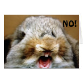 MAD RABBIT SAYS "NO" U CANNOT BE "50" (Front Horizontal)