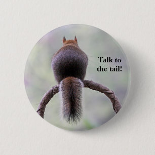 Mad Squirrel Pinback Button