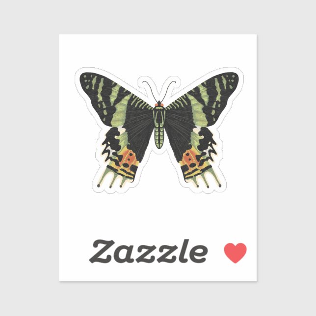 Madagascan Sunset Moth Sticker (Sheet)